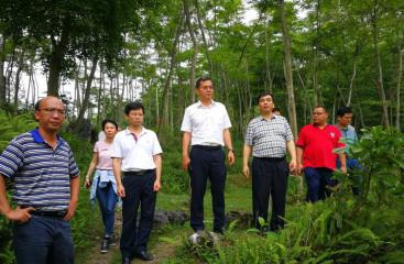 公司黨委肖凌書記帶隊到馬山縣龍琴村開展扶貧調研工作