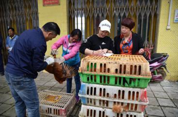 開展消費扶貧  助力脫貧攻堅