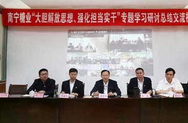 公司召開“大膽解放思想、強化擔當實干”專題學習研討總結交流視頻會