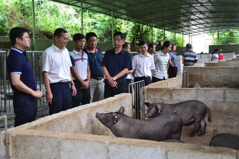 1565364132473435.jpg 01_compressed.jpg