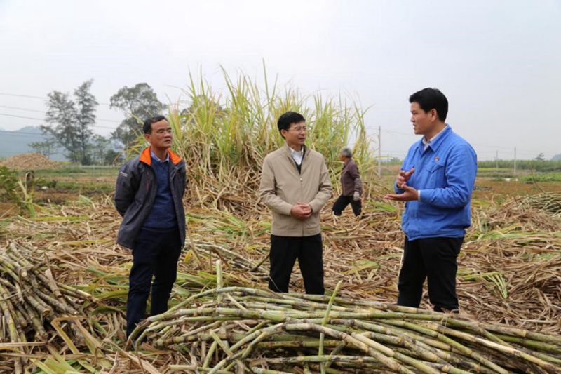 1565364721134857.jpg 08_compressed.jpg