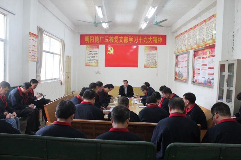 1565365078581918.jpg 11_compressed.jpg