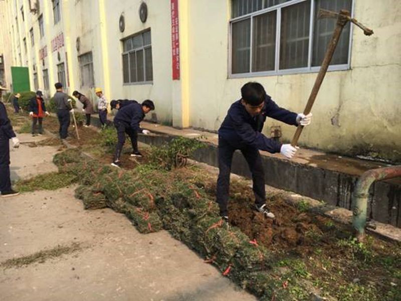 1565365888140649.jpg 25_compressed.jpg