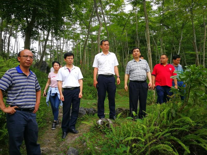 1565366168174278.jpg 30_compressed.jpg