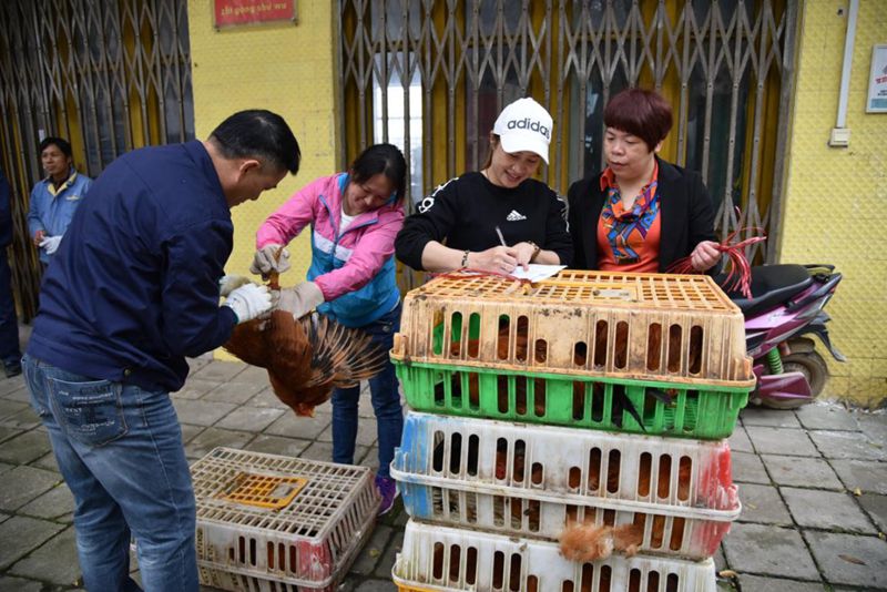 1565366427914296.jpg 35_compressed.jpg