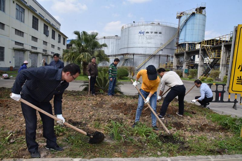 1565366544548181.jpg 37_compressed.jpg