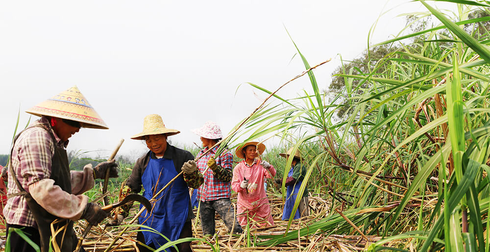 廣農糖業職工攝影展示06