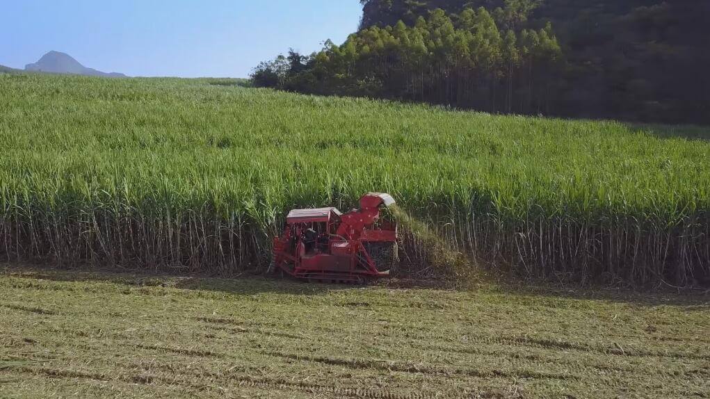 歲月知味  經典南糖