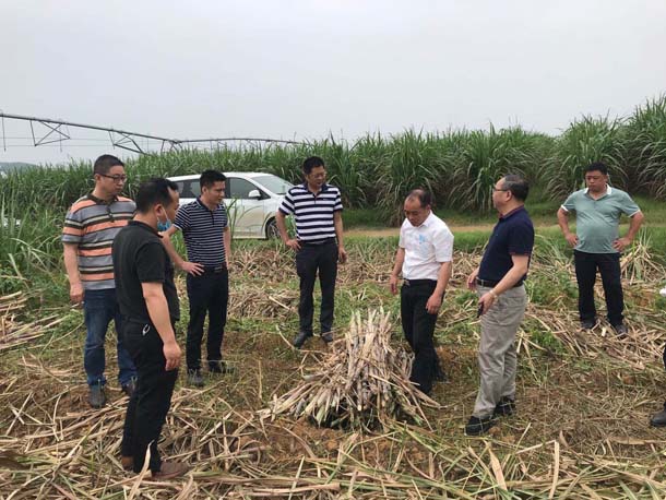 1602207923375583.jpg O5CA2734BA.jpg