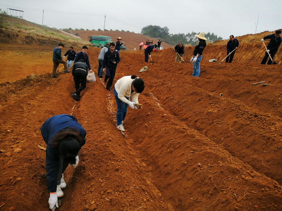 1627348309283077.jpg 圖4.jpg