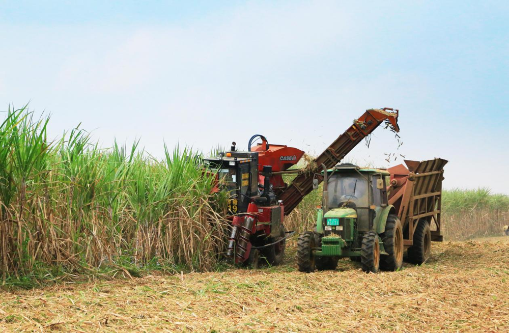 1631956589240444.png 圖片3.png