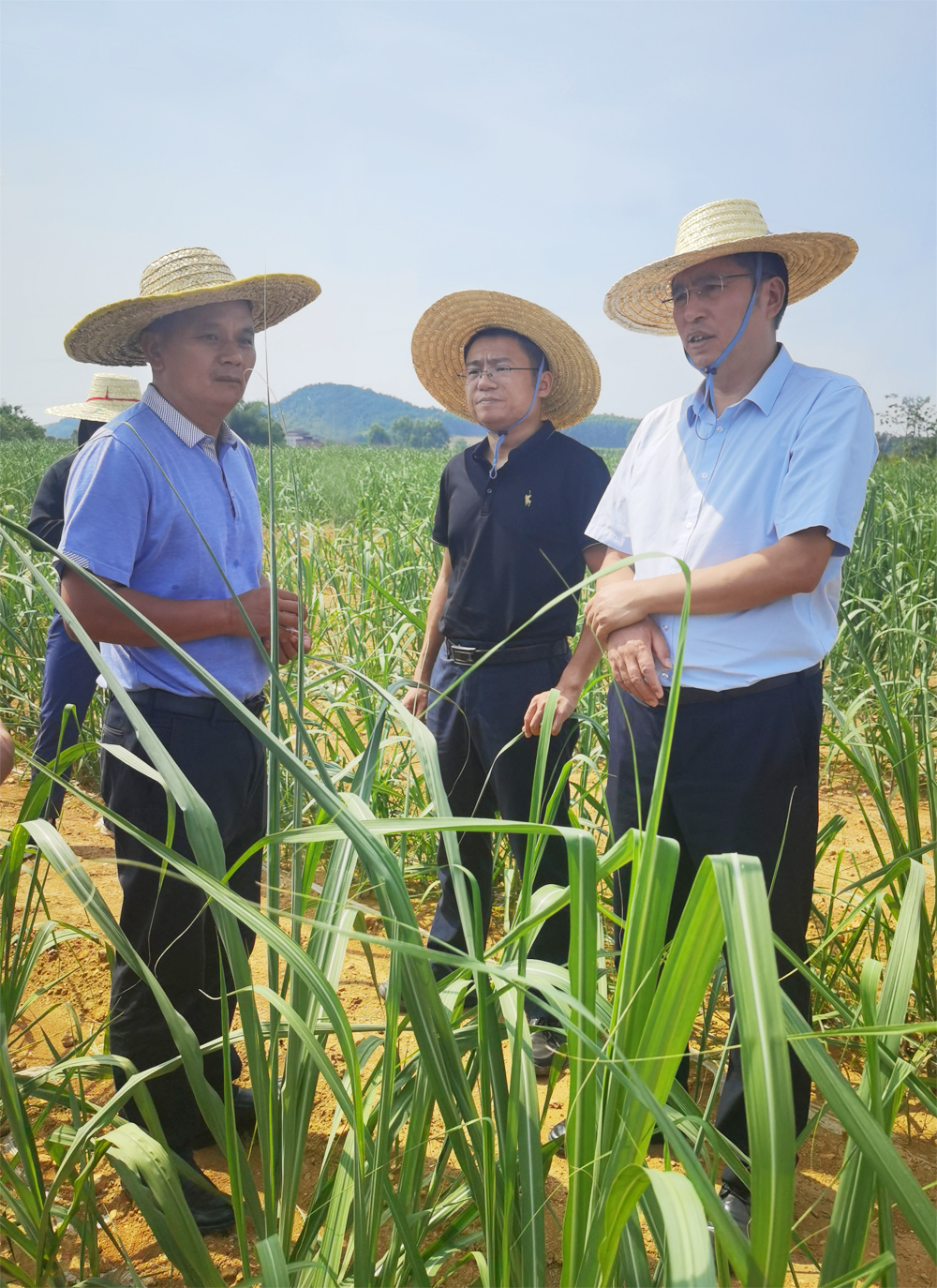 1685932698990761.jpg 574e574c1af1ab30045059e5380ffac.jpg