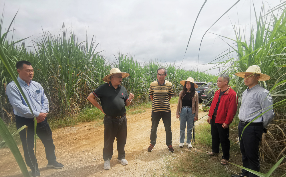 1697768036801462.jpg 梁石德攝1.jpg