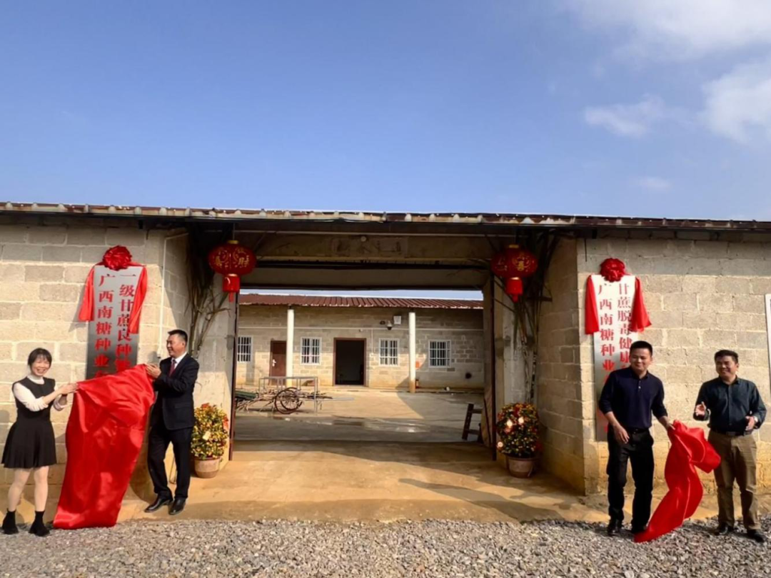 1711507478349504.png 456.png