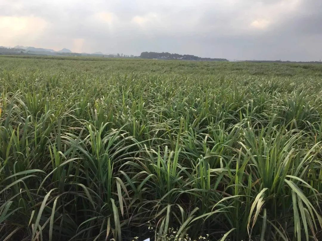 1711507507440057.jpg 5688.jpg