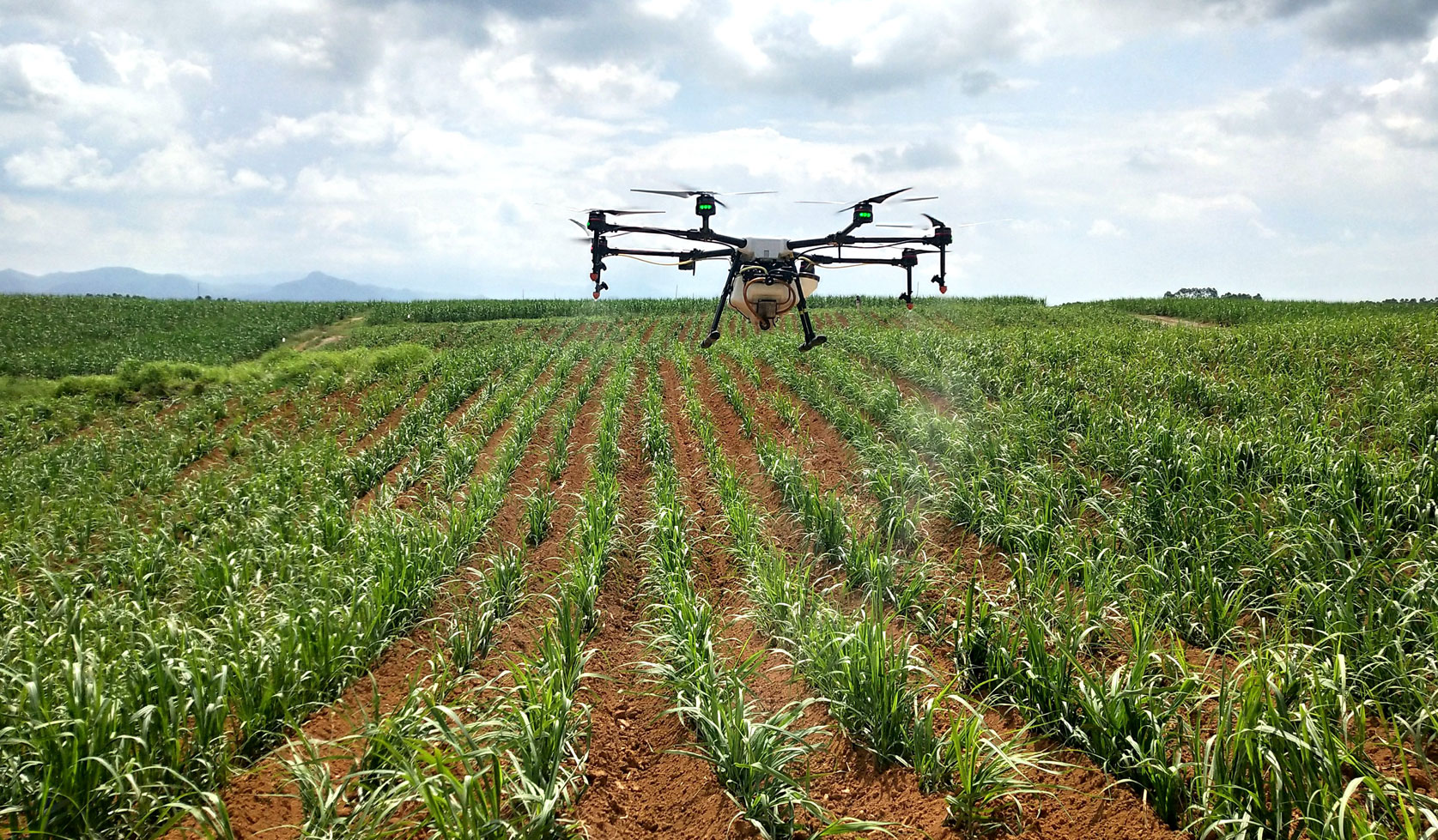 1713926127423802.jpg 1713926127423802.jpg