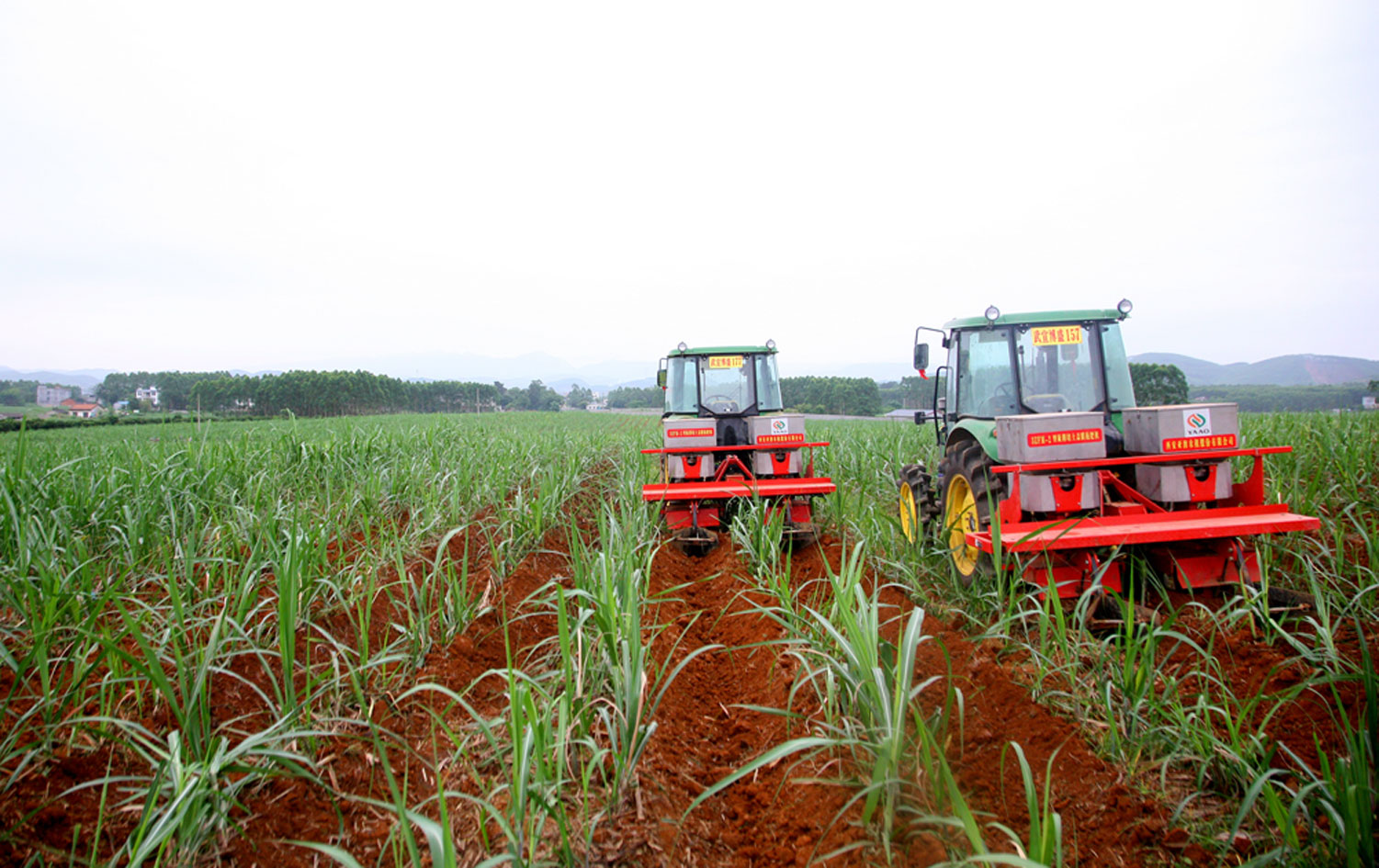 1713926161644806.jpg 1713926161644806.jpg