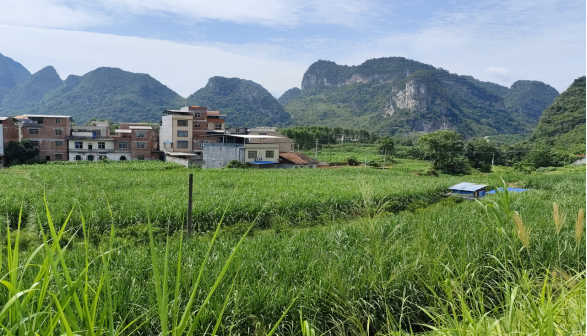 1727235879609182.png 6fa3b2b9b95b7d236d0791abb76f2290.png