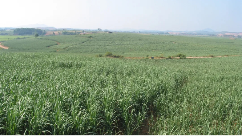 1727600502402531.png image.png