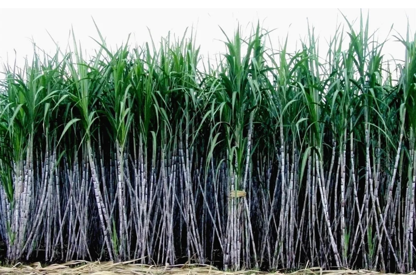 1727600620983967.png image.png