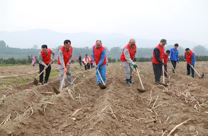 1727600687428339.png 1727600666146.png