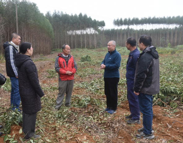 1728606502705896.png 3842c85acfa34181a4c0477108c581c8.png