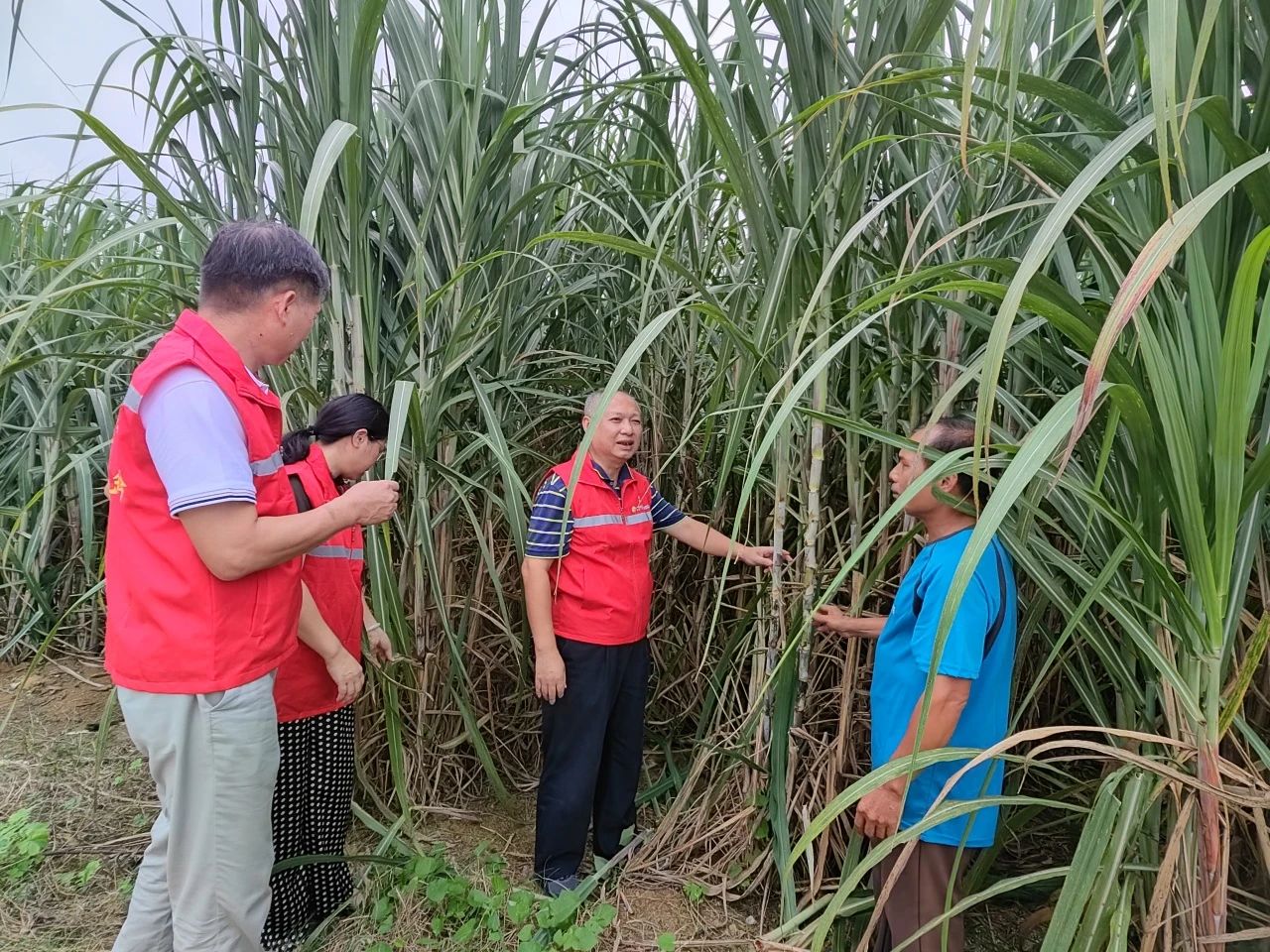 1728606529274542.jpg 2b808e9363133a89eaec5f38508f284b.jpg