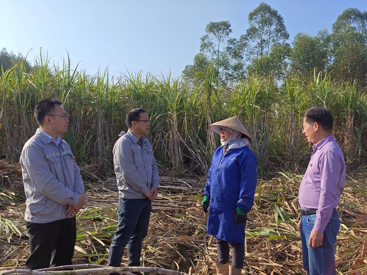 1728606577949636.jpg 47bc9bd812f44b41293fc09a90c00618.jpg