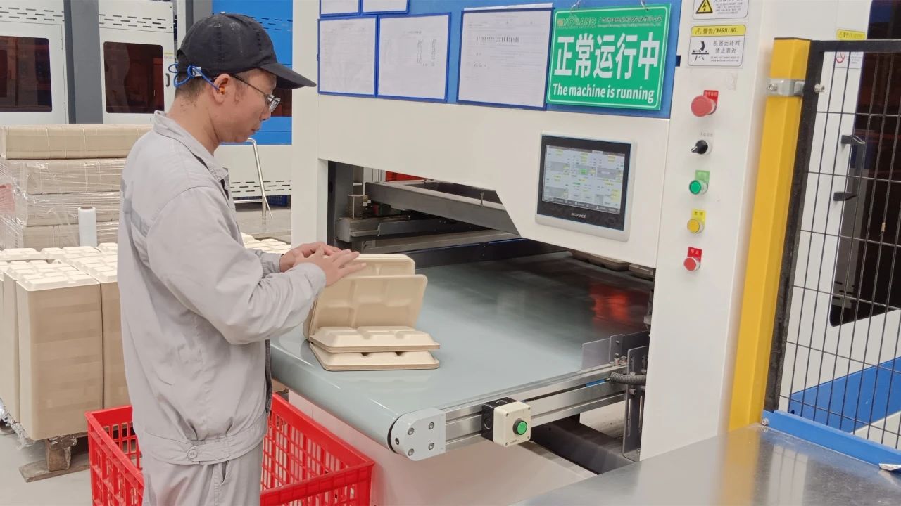 1728607538947352.jpg f3ff539fdd58aa9075fc65e305a7f731.jpg