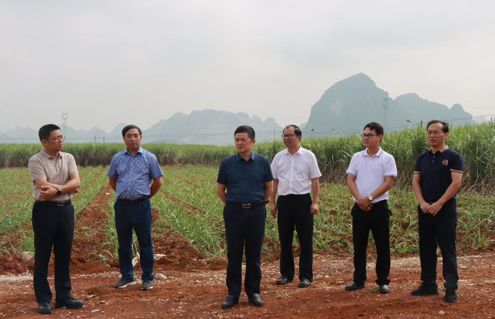 1729470687114815.png c928eac68f4fc1e3d643fe6a4761499.png