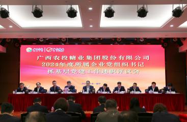 廣農(nóng)糖業(yè)黨委召開(kāi)2024年度所屬企業(yè)黨組織書記抓基層黨建工作述職評(píng)議會(huì)