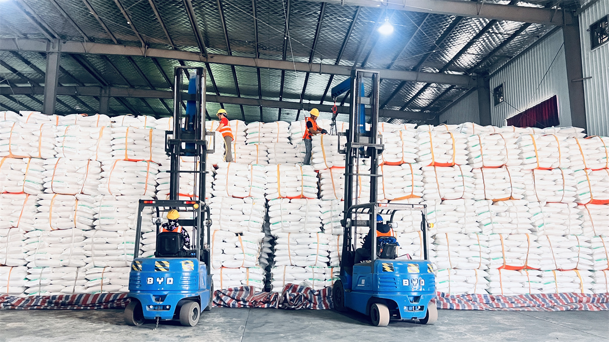 1740561429880731.jpg 青天恒 攝 (1)_副本.jpg