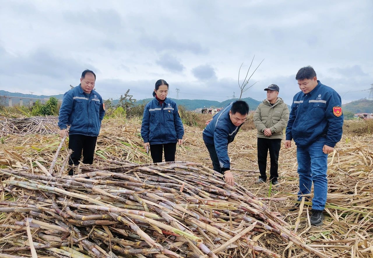 1741572490586331.jpg 微信圖片_20250310100641.jpg