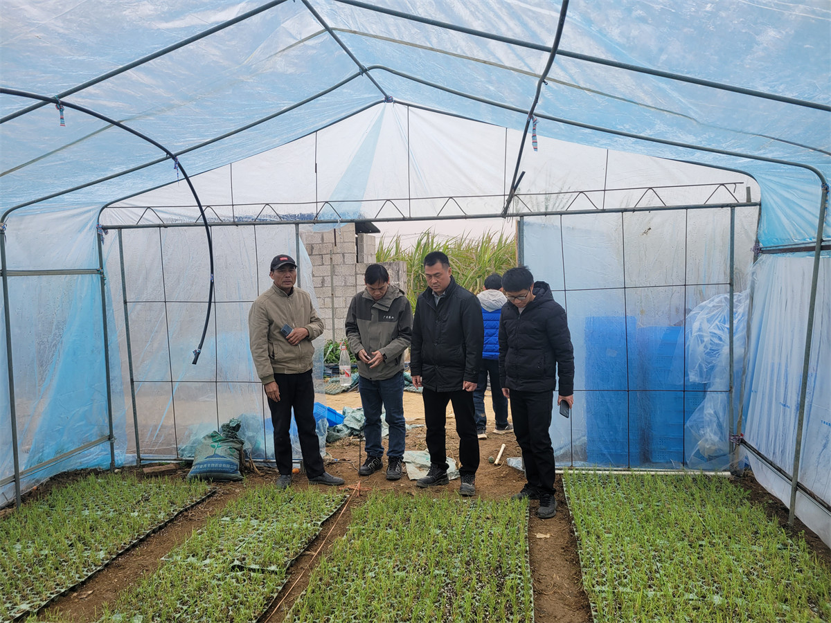 1742378612441498.jpg 微信圖片_20250314170157.jpg