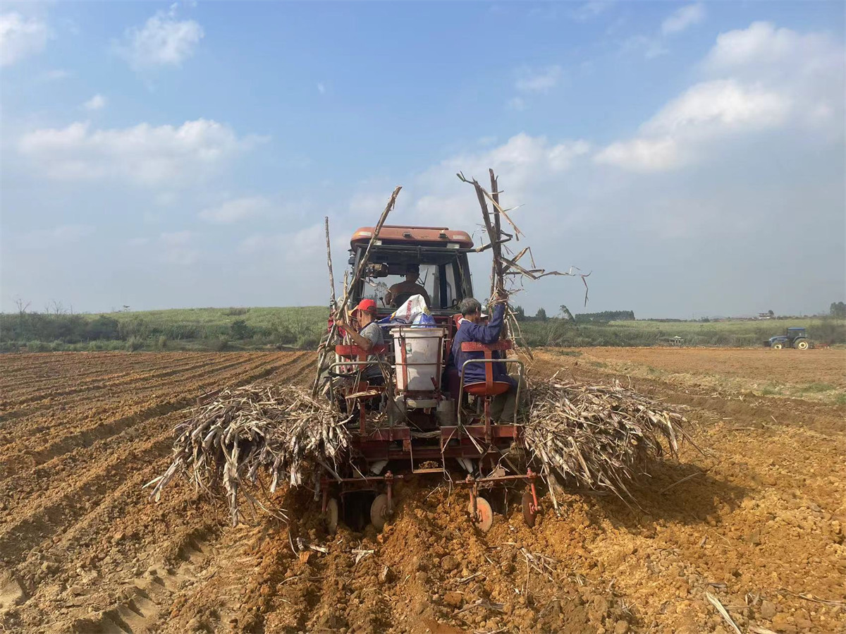 1742378622175911.jpg 微信圖片_20250314170047.jpg