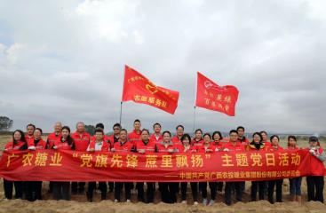 先鋒領航丨細雨潤新蔗 壟上黨旗映春色