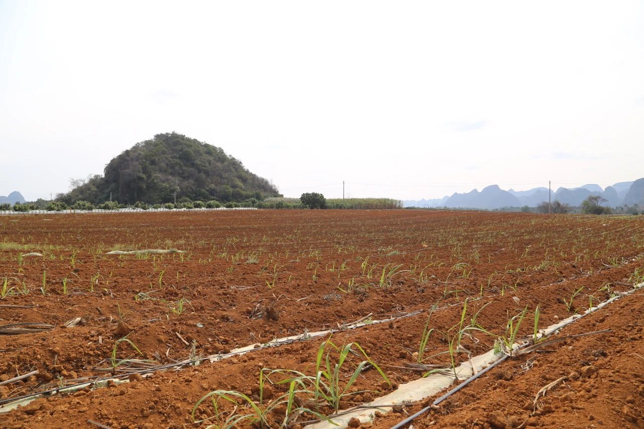 1744596525706211.jpg 微信圖片_20250414095921.jpg