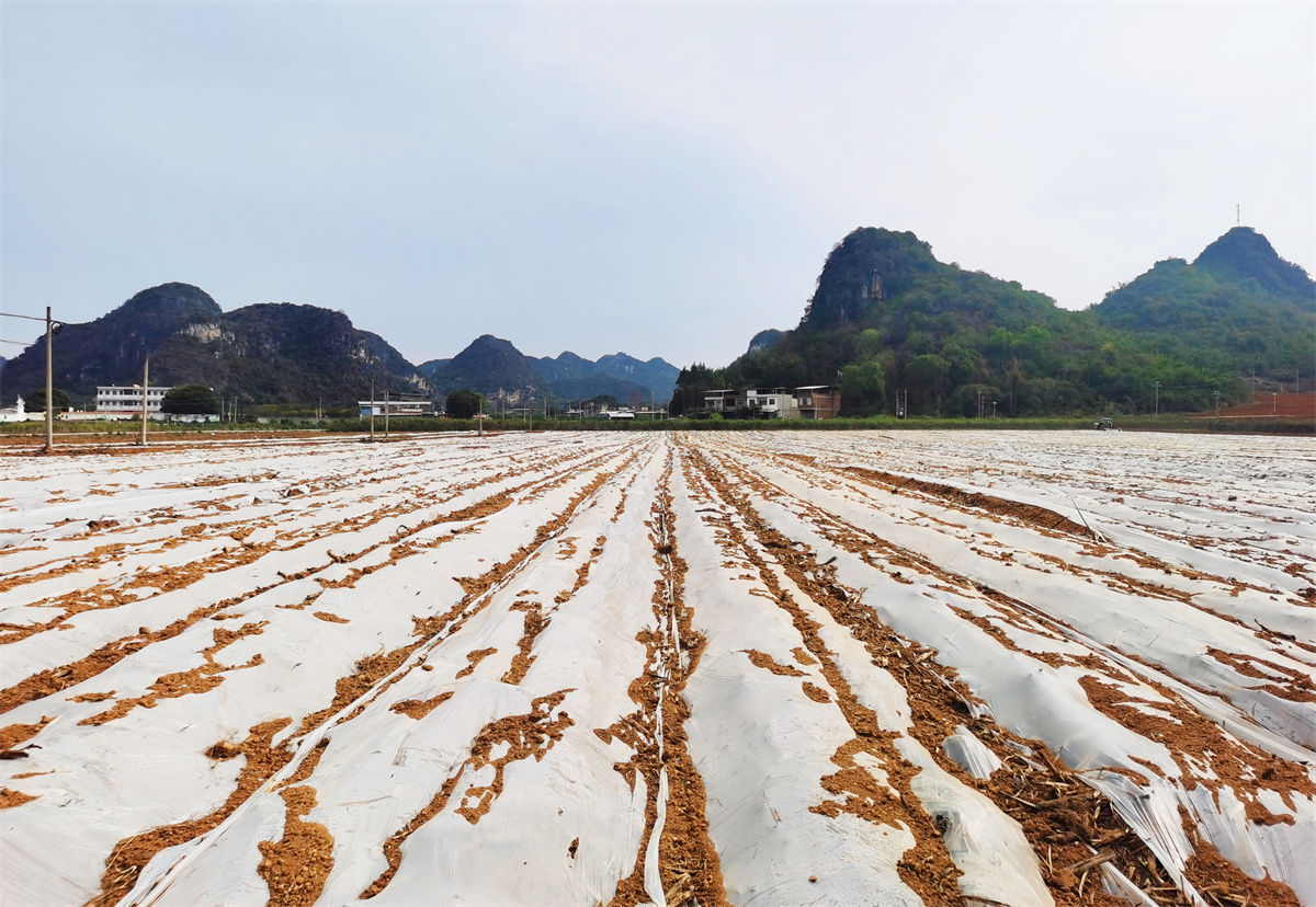 1744596545372063.jpg 微信圖片_20250414095929.jpg