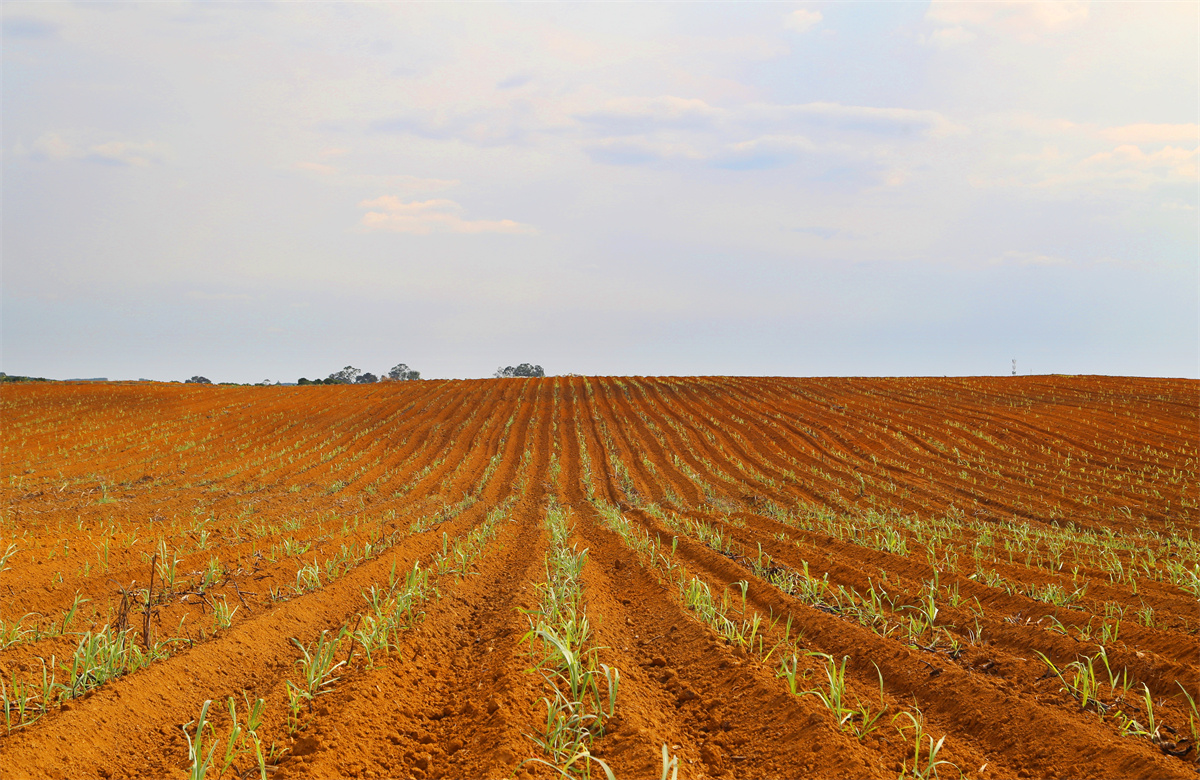 1744596560891671.jpg 微信圖片_20250414095933_副本.jpg