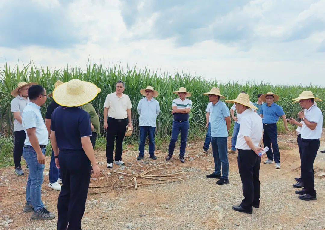 1751528507510951.jpg 640 (1).jpg