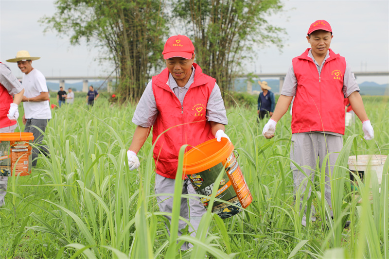 1751877088185824.jpg C11A5388.jpg