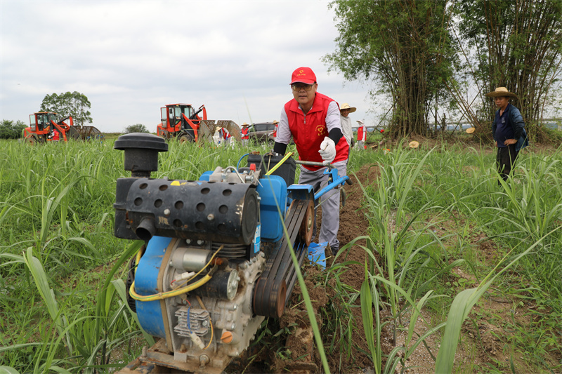 1751877100523812.jpg C11A5436.jpg