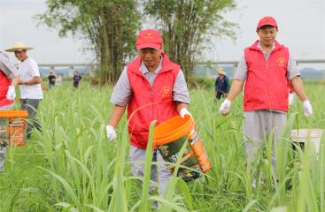  明陽制糖公司：企村共建筑牢“第一車間”