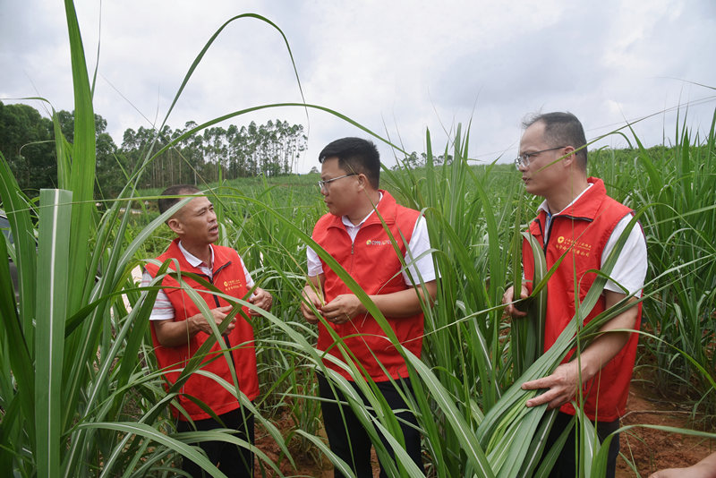 李艷芳攝 (2)_副本.jpg