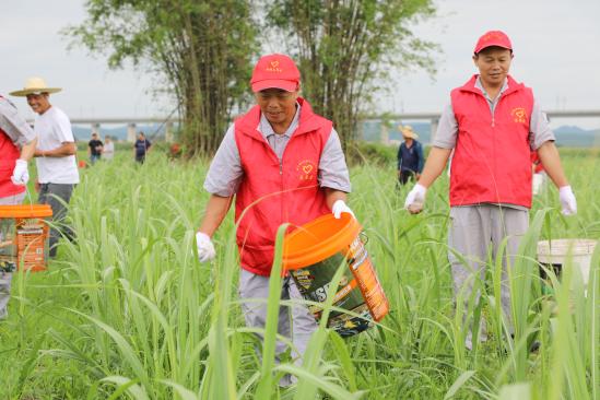 1757038160537560.jpg 11.jpg