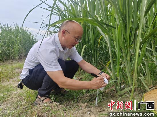 1757059058294202.jpg 22.jpg