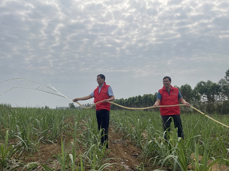 1757064222807326.jpeg 11.jpeg