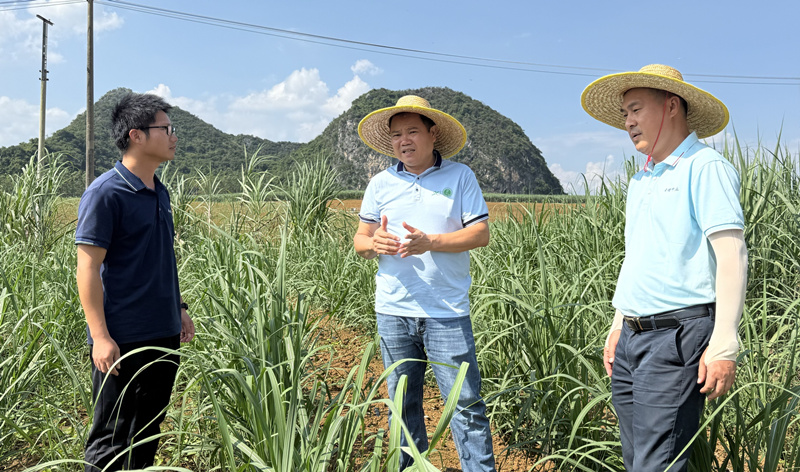 1757316948545453.jpg 圖片 (1)_副本.jpg