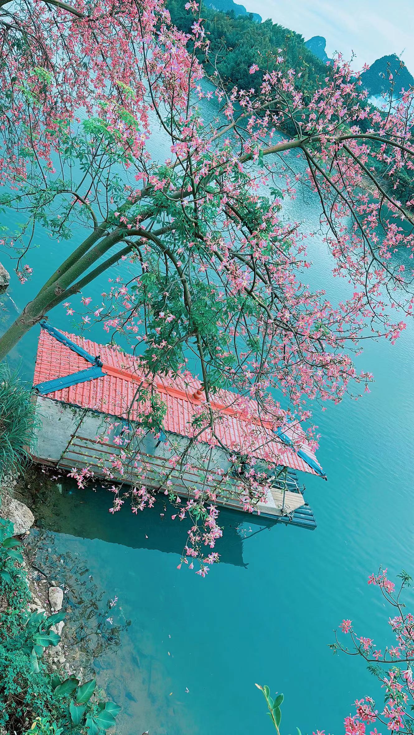 人間仙境：博慶公司石別糖廠化驗室韋愛根 攝.jpg