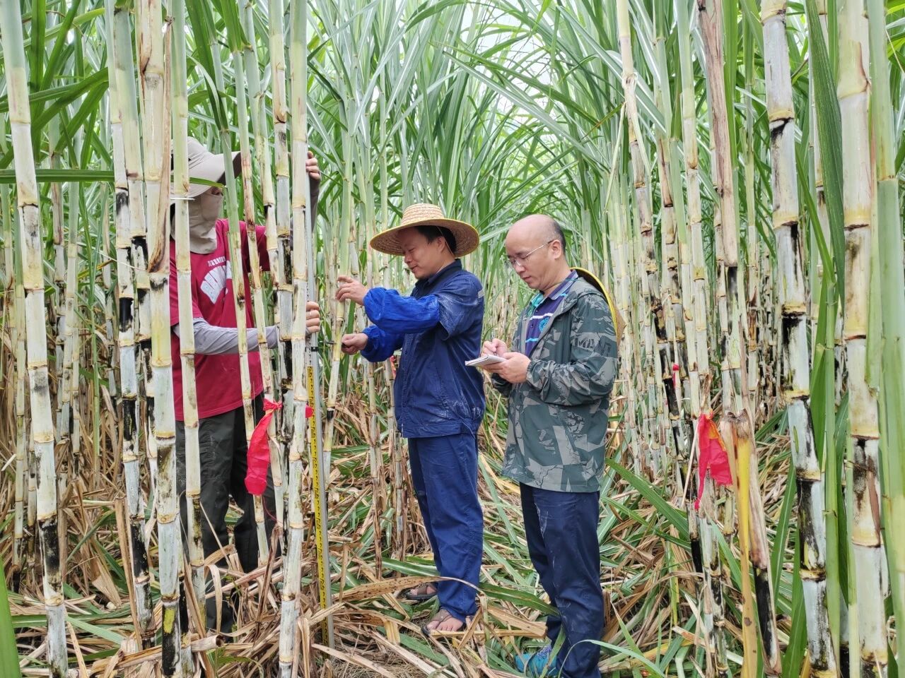 1757553560297244.jpg 微信圖片_2025-09-11_091857_632.jpg